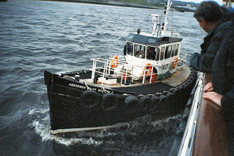 N3307