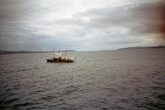 N3353