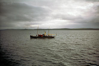 N3354