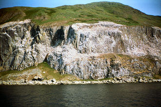 N3356